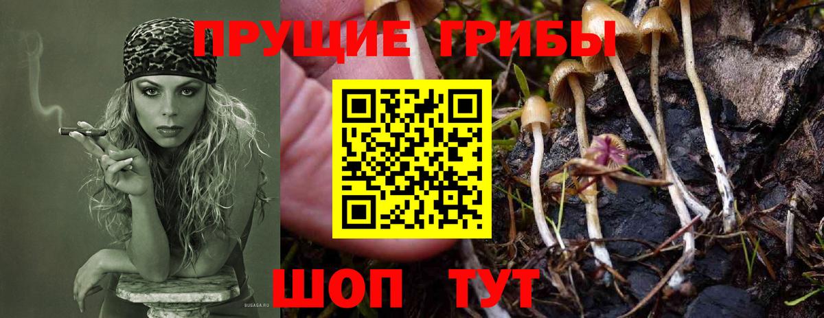 Галлюциногенные грибы Cubensis  Псилоцибиновые грибы MAGIC MUSHROOMS  Вход с VPN  Чехов 